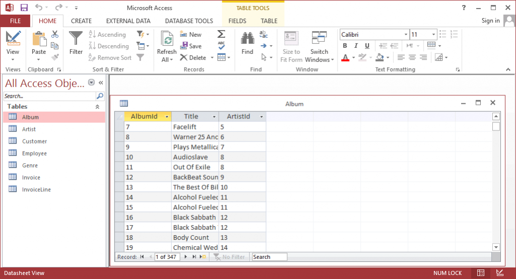 viewer for ms access database accdb mdb db